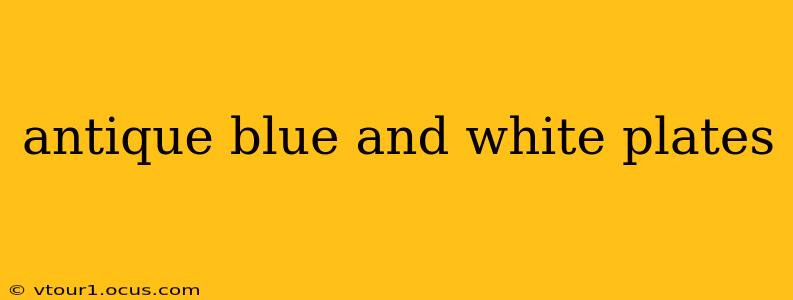 antique blue and white plates