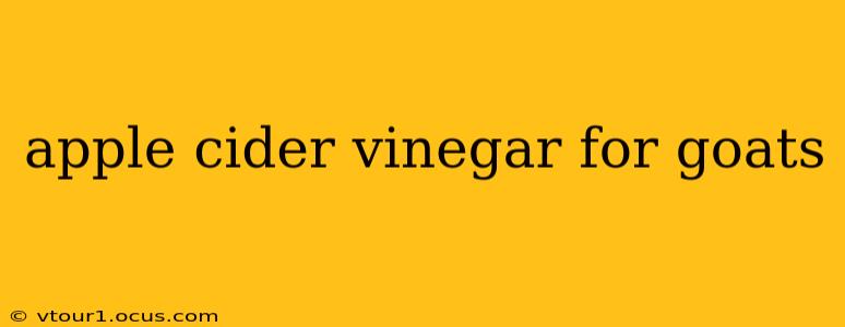 apple cider vinegar for goats
