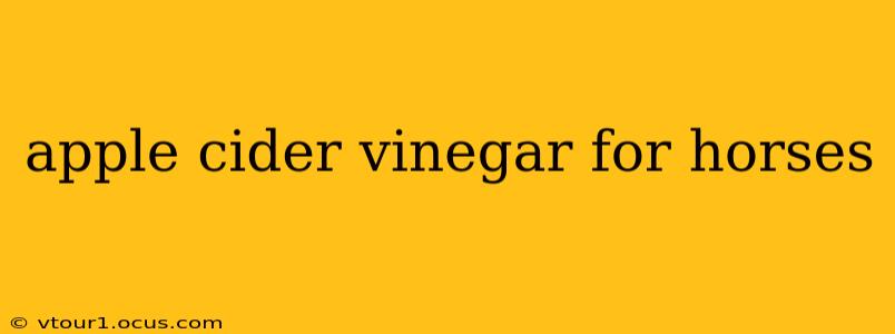 apple cider vinegar for horses