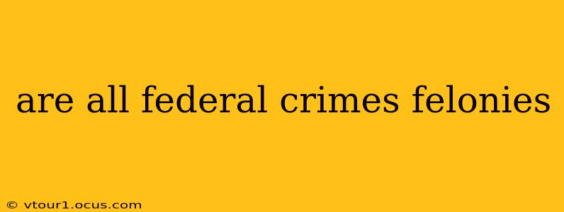 are all federal crimes felonies