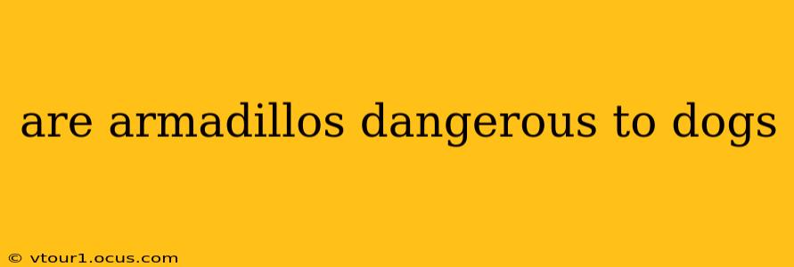 are armadillos dangerous to dogs