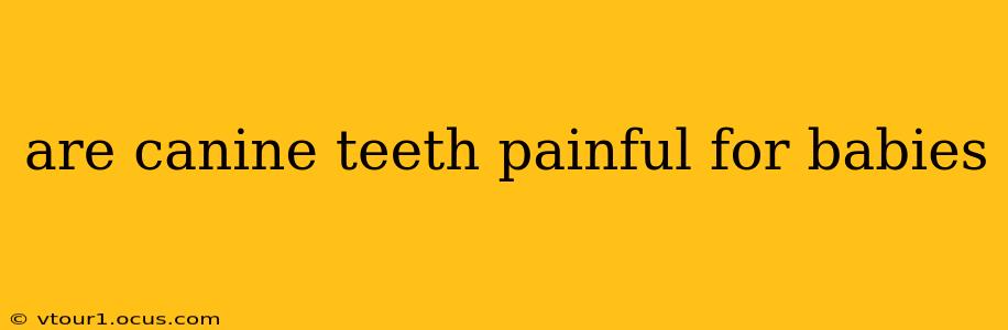 are canine teeth painful for babies