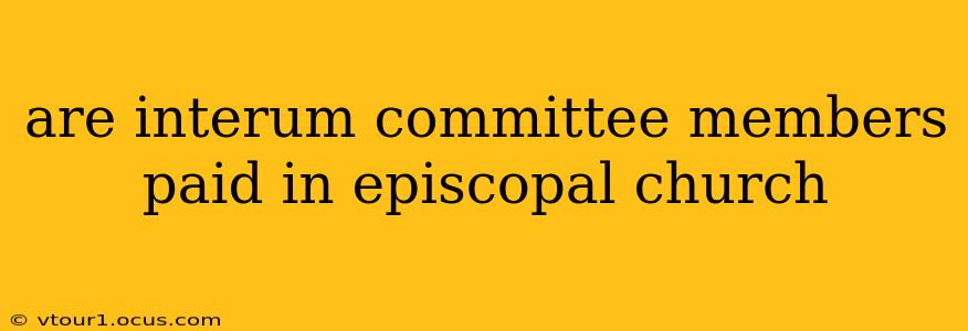 are interum committee members paid in episcopal church