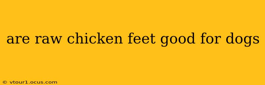 are raw chicken feet good for dogs