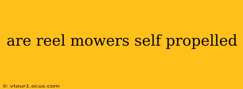 are reel mowers self propelled