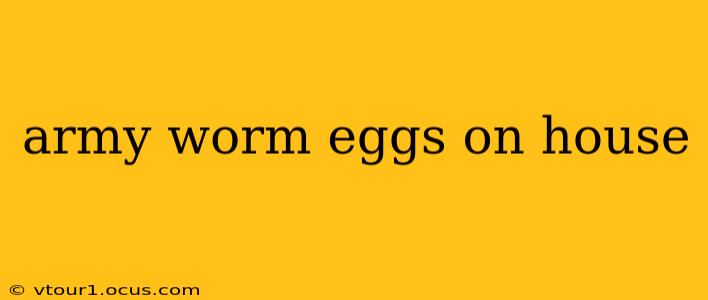 army worm eggs on house