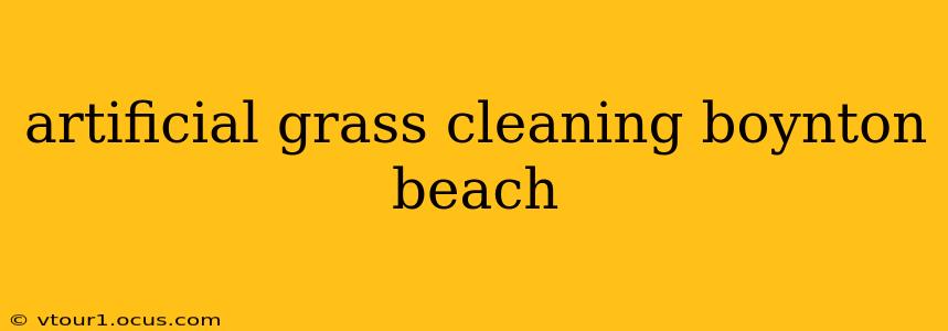 artificial grass cleaning boynton beach