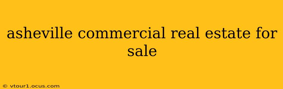 asheville commercial real estate for sale