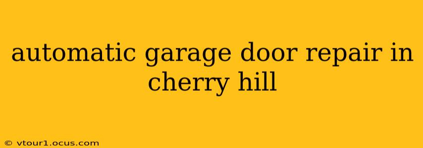 automatic garage door repair in cherry hill