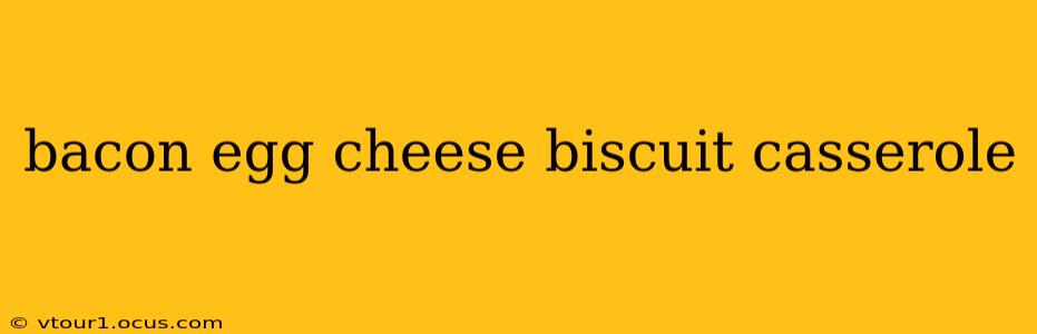 bacon egg cheese biscuit casserole