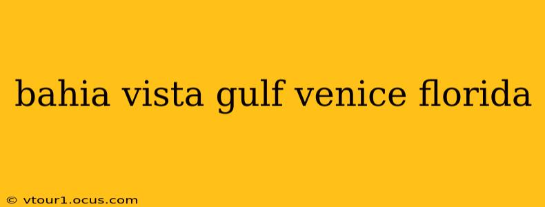 bahia vista gulf venice florida