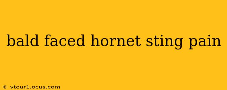 bald faced hornet sting pain