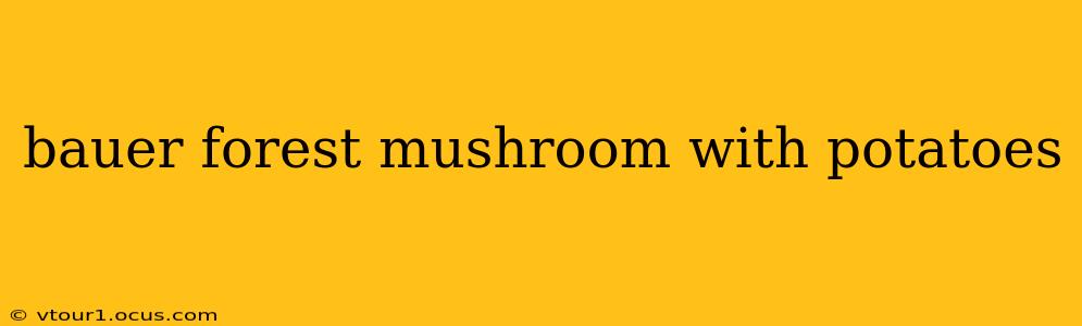 bauer forest mushroom with potatoes