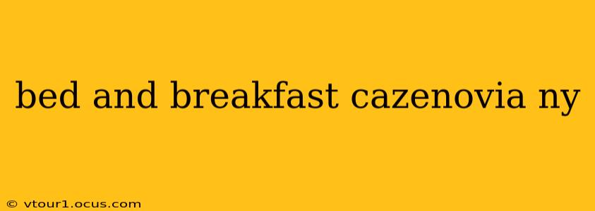 bed and breakfast cazenovia ny