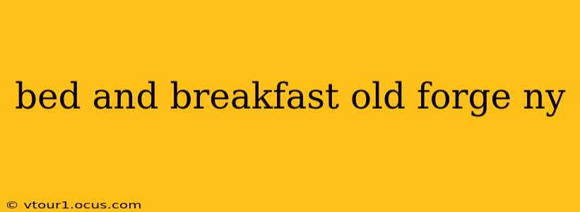 bed and breakfast old forge ny