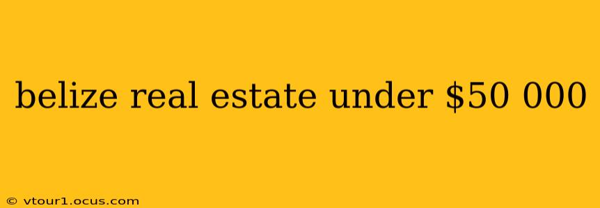 belize real estate under $50 000