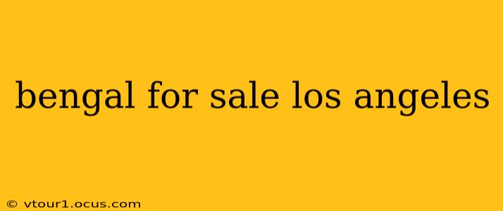 bengal for sale los angeles