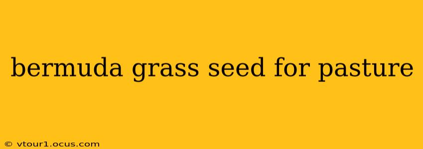bermuda grass seed for pasture