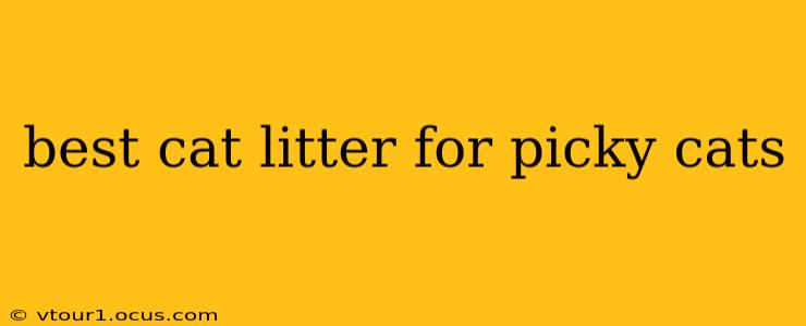 best cat litter for picky cats