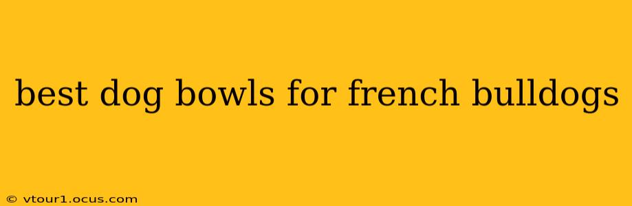 best dog bowls for french bulldogs