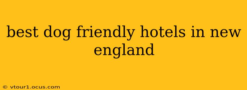 best dog friendly hotels in new england