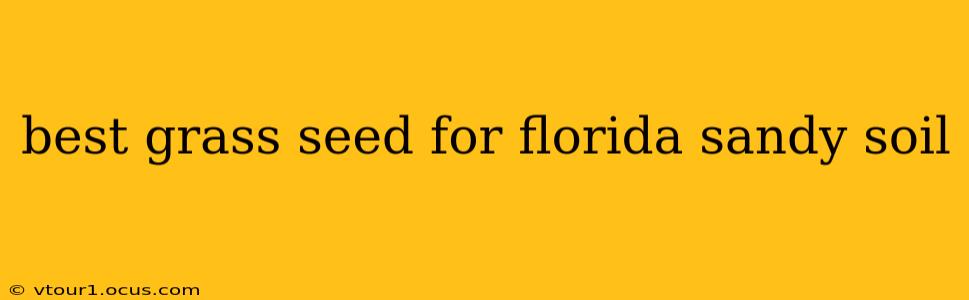 best grass seed for florida sandy soil