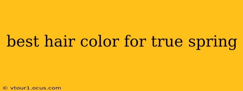 best hair color for true spring
