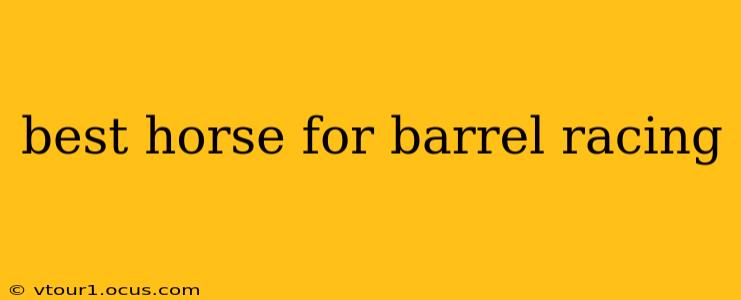 best horse for barrel racing