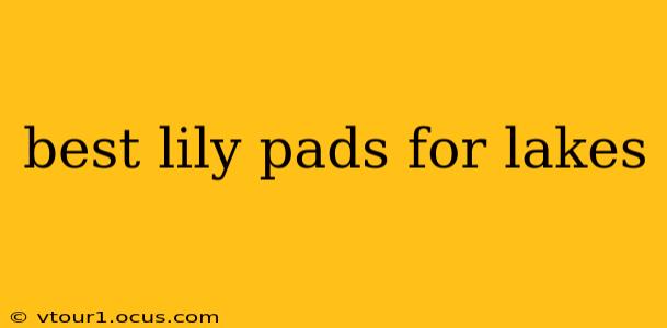 best lily pads for lakes