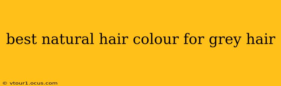 best natural hair colour for grey hair
