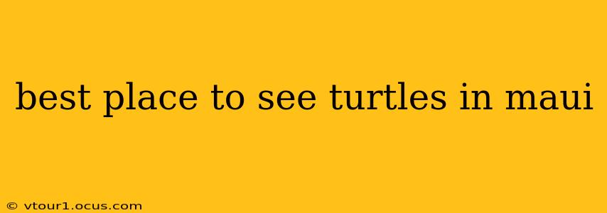 best place to see turtles in maui