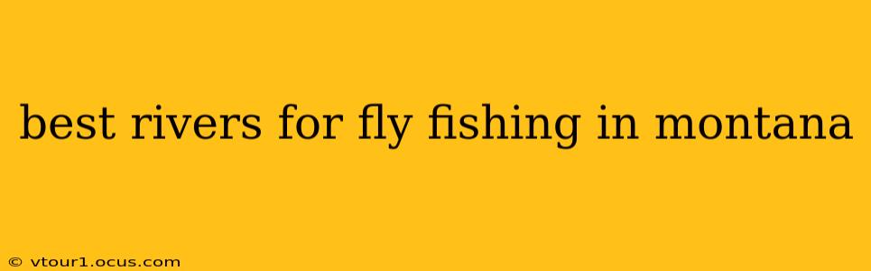 best rivers for fly fishing in montana