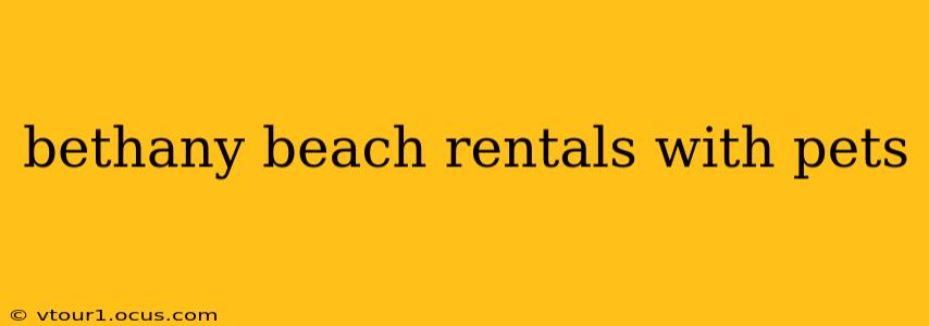 bethany beach rentals with pets