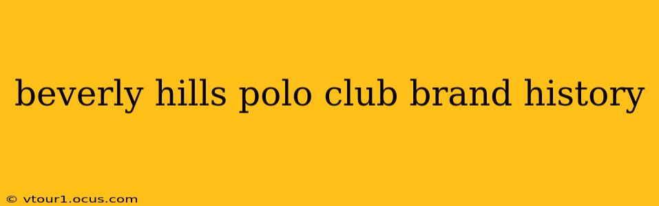 beverly hills polo club brand history