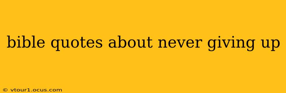 bible quotes about never giving up