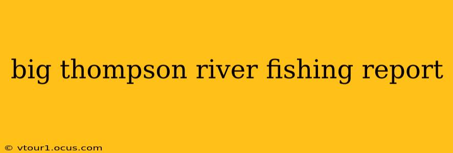 big thompson river fishing report