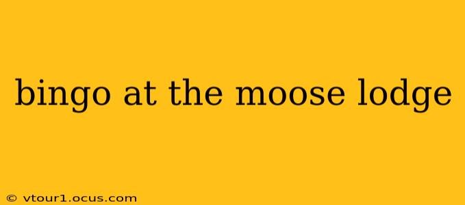 bingo at the moose lodge