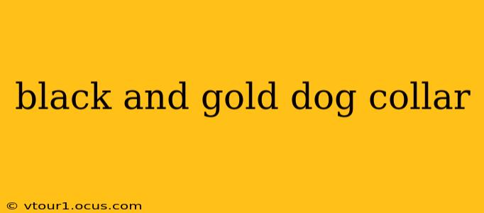 black and gold dog collar