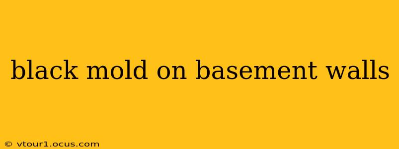 black mold on basement walls
