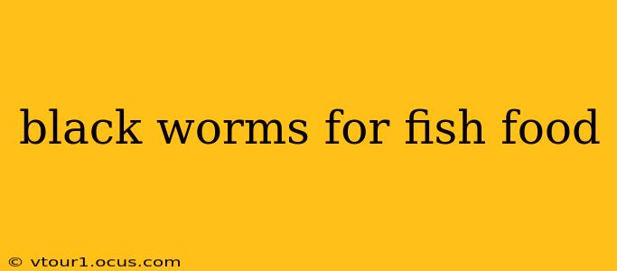 black worms for fish food