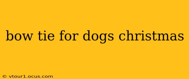 bow tie for dogs christmas