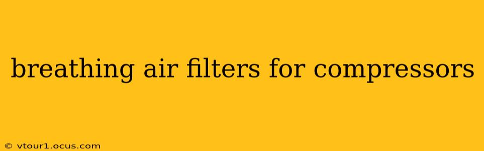 breathing air filters for compressors