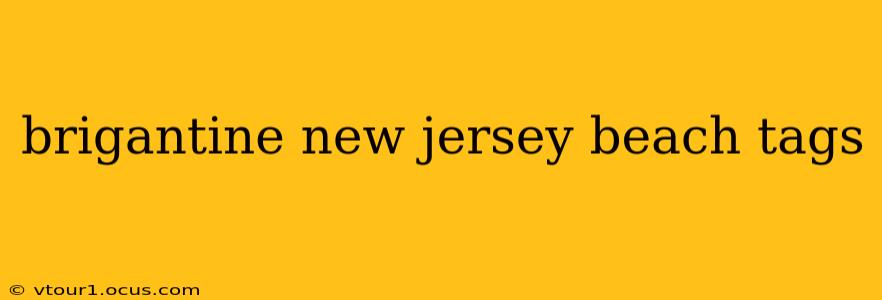 brigantine new jersey beach tags