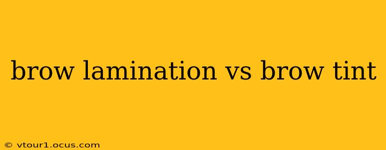 brow lamination vs brow tint