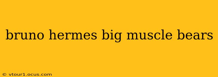 bruno hermes big muscle bears bruno hermes big muscle bears