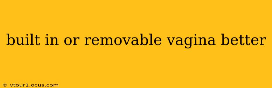 built in or removable vagina better