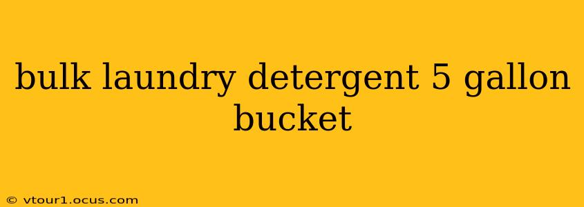 bulk laundry detergent 5 gallon bucket