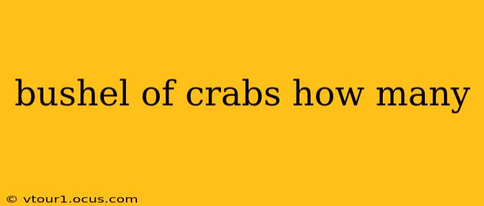 bushel of crabs how many