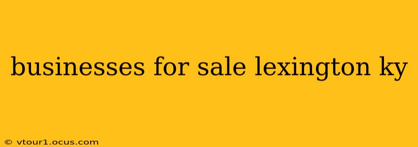 businesses for sale lexington ky