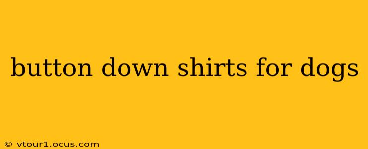 button down shirts for dogs